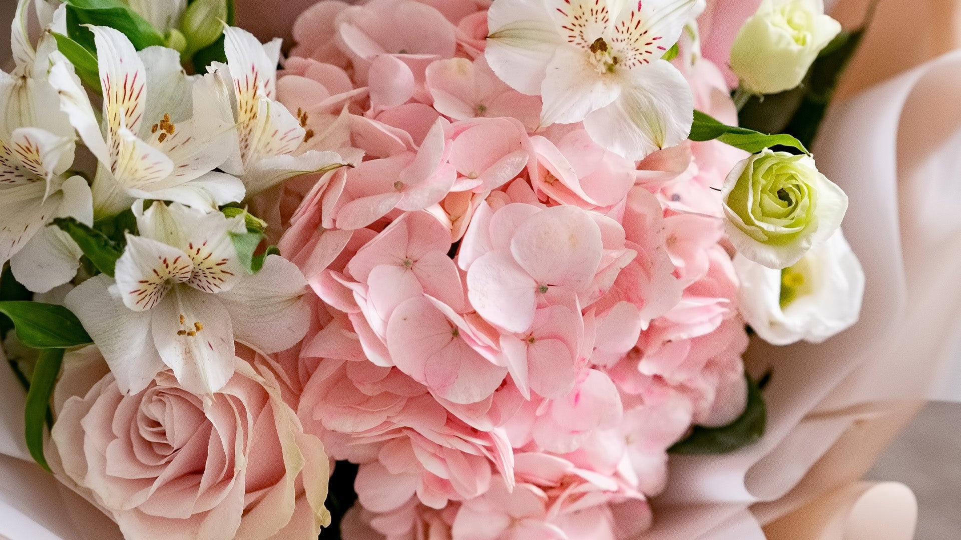 How Long Do Carnations Last? Carnation Vase Life & Care Guide