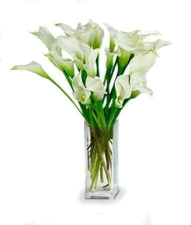Twenty Stunning Calla Lilies Florist.ca