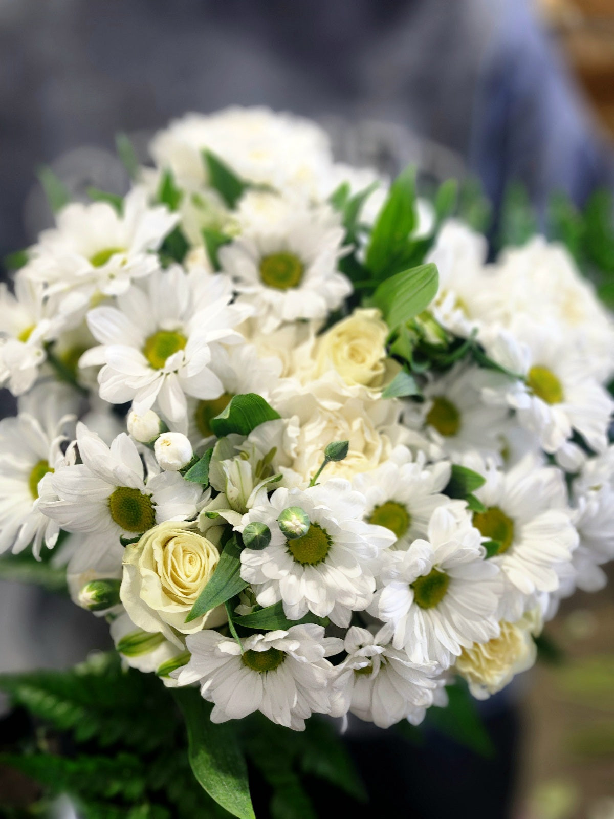 Designer Sympathy Collection I Florist.ca