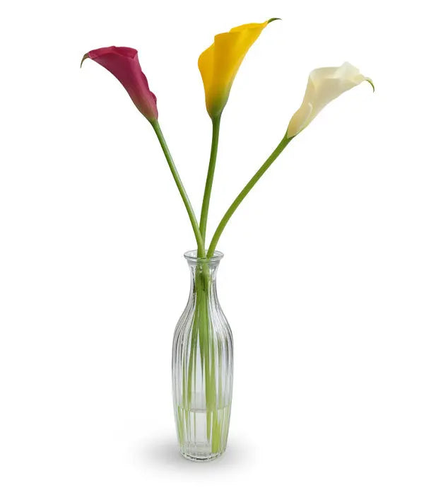 3 Lilies Assorted in Bud Vase Florist.ca