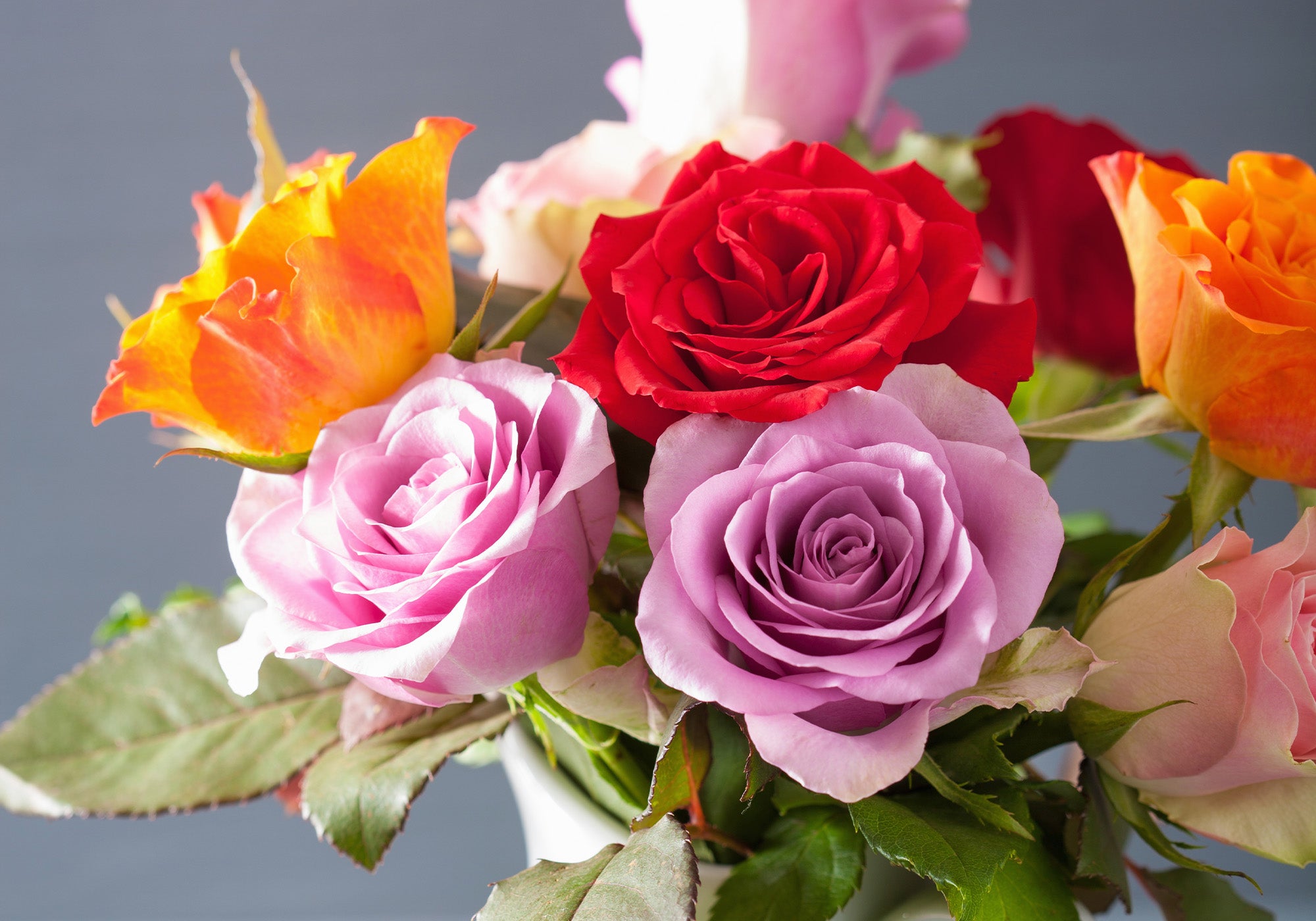 Assorted rose colours in a bouquet on a grey background