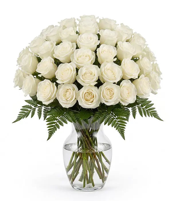 Three Dozen Long Stem White Roses Florist.ca