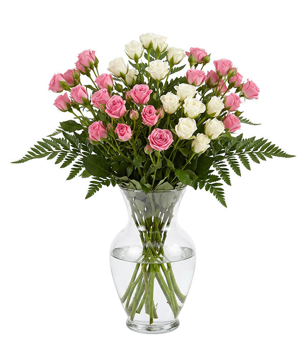 50 Blooms of White & Pink Spray Roses Florist