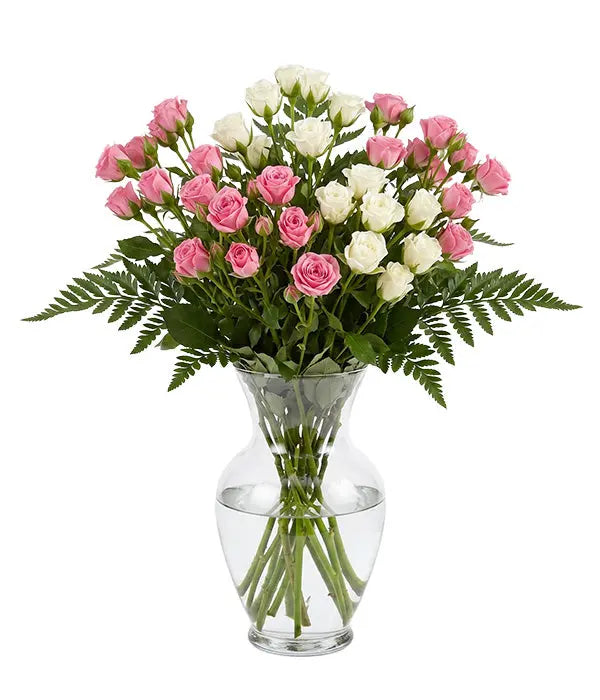 50 Blooms of White & Pink Spray Roses Florist