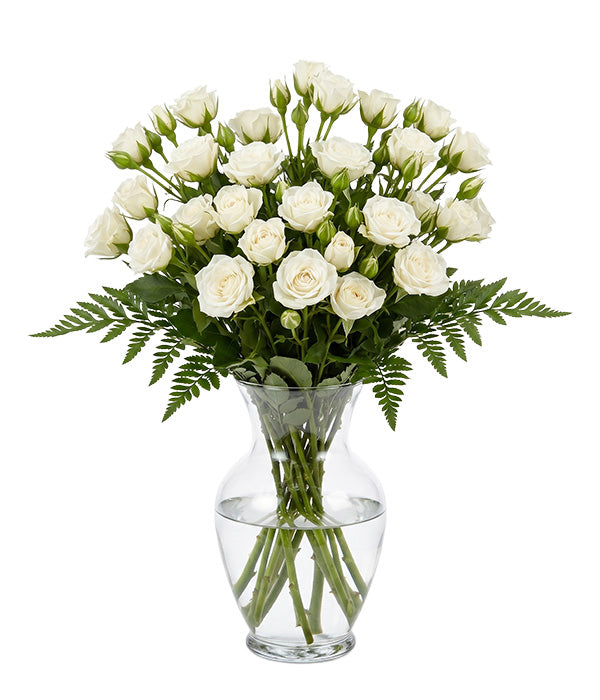 50 Blooms of White Spray Roses Florist