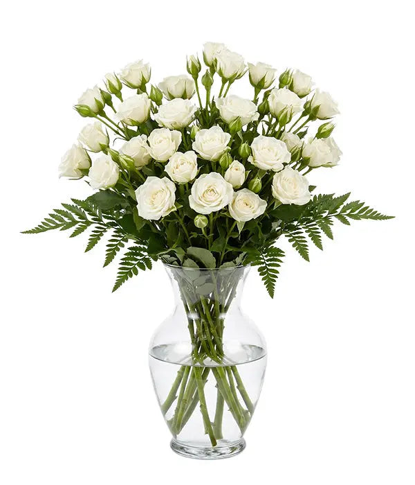 50 Blooms of White Spray Roses Florist