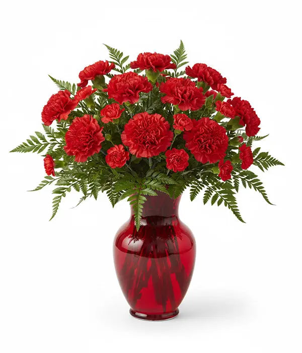 Crimson Delight carnations in red vase (LF21-68)
