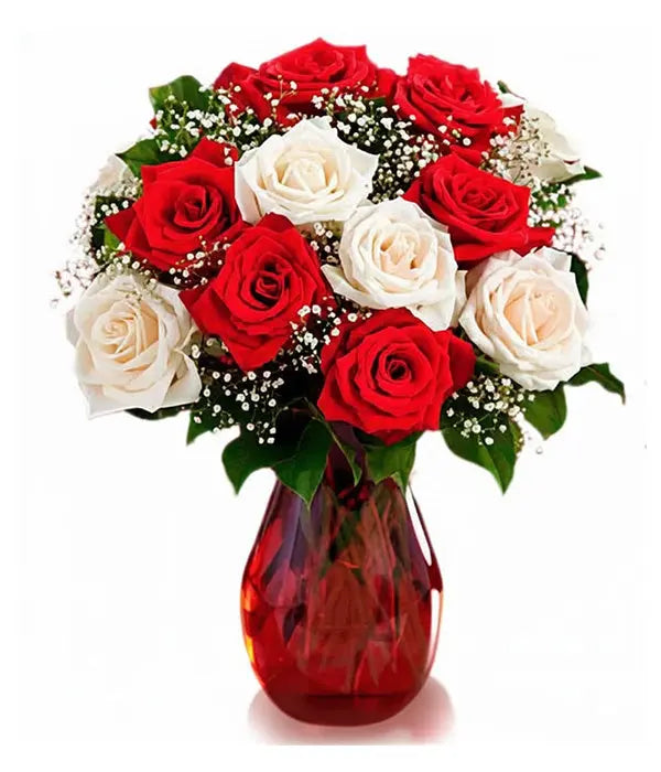 One dozen candy cane roses in red vase.