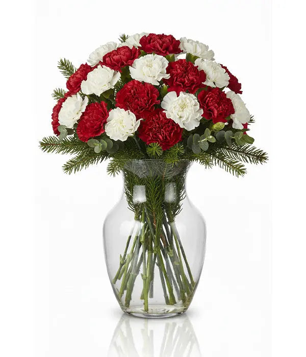 Winter Classic Bouquet of Red & White Carnations