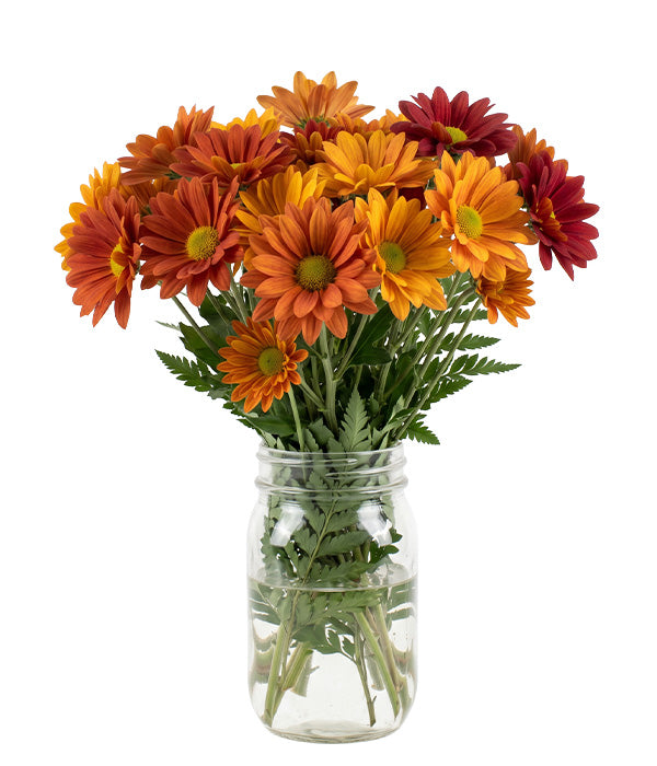 Fall Daisies in Mason Jar