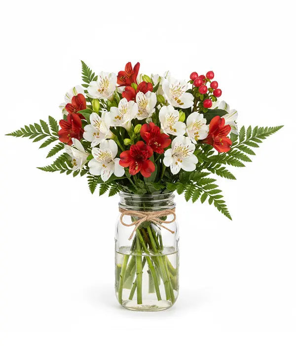 Bouquet of red and white alstroemeria in mason jar
