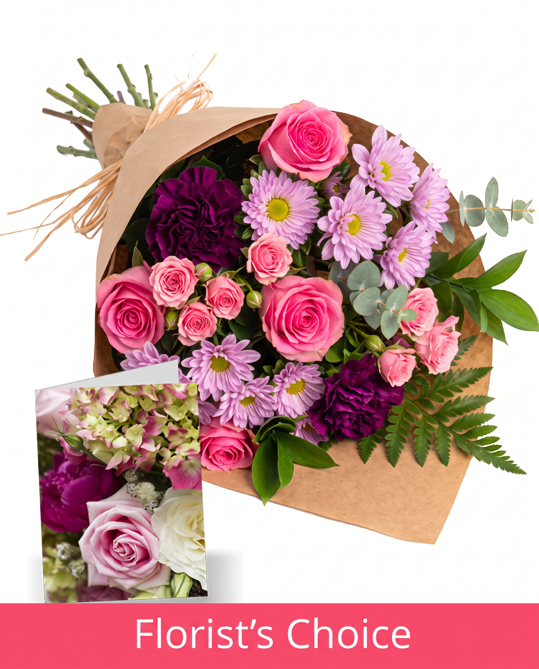 Ensemble violet-rose II