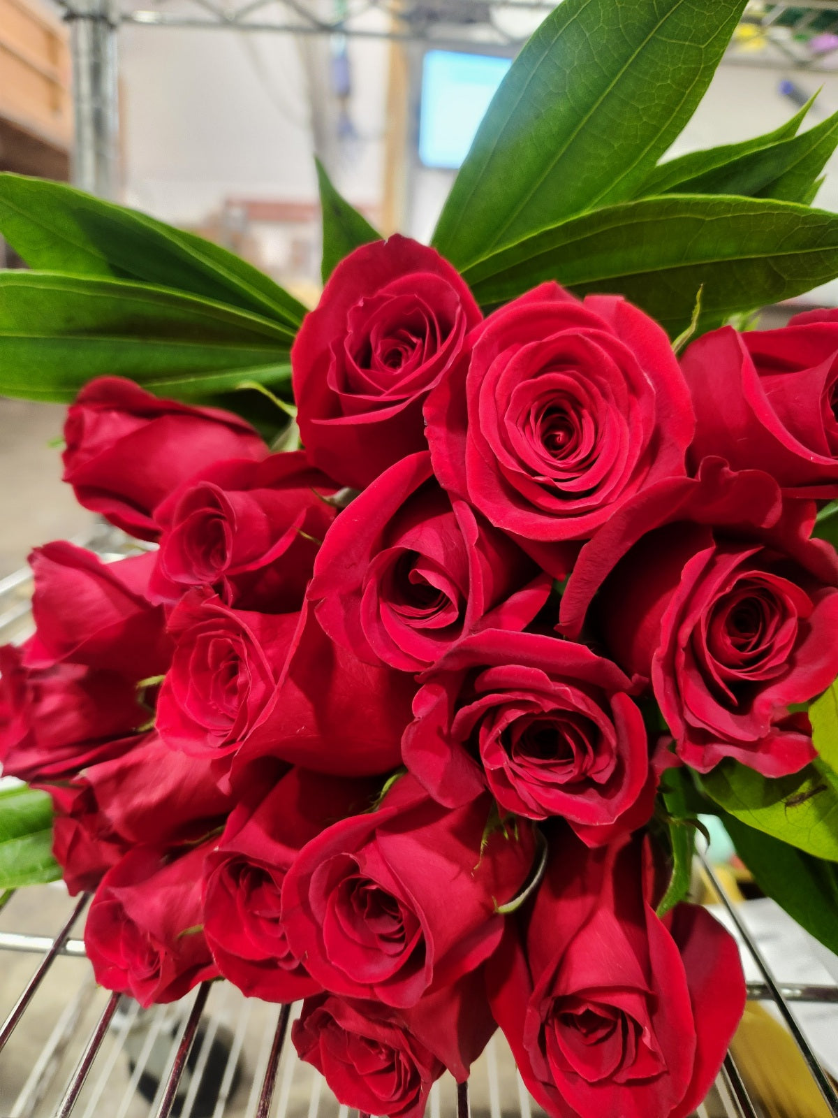 One Dozen Red Roses