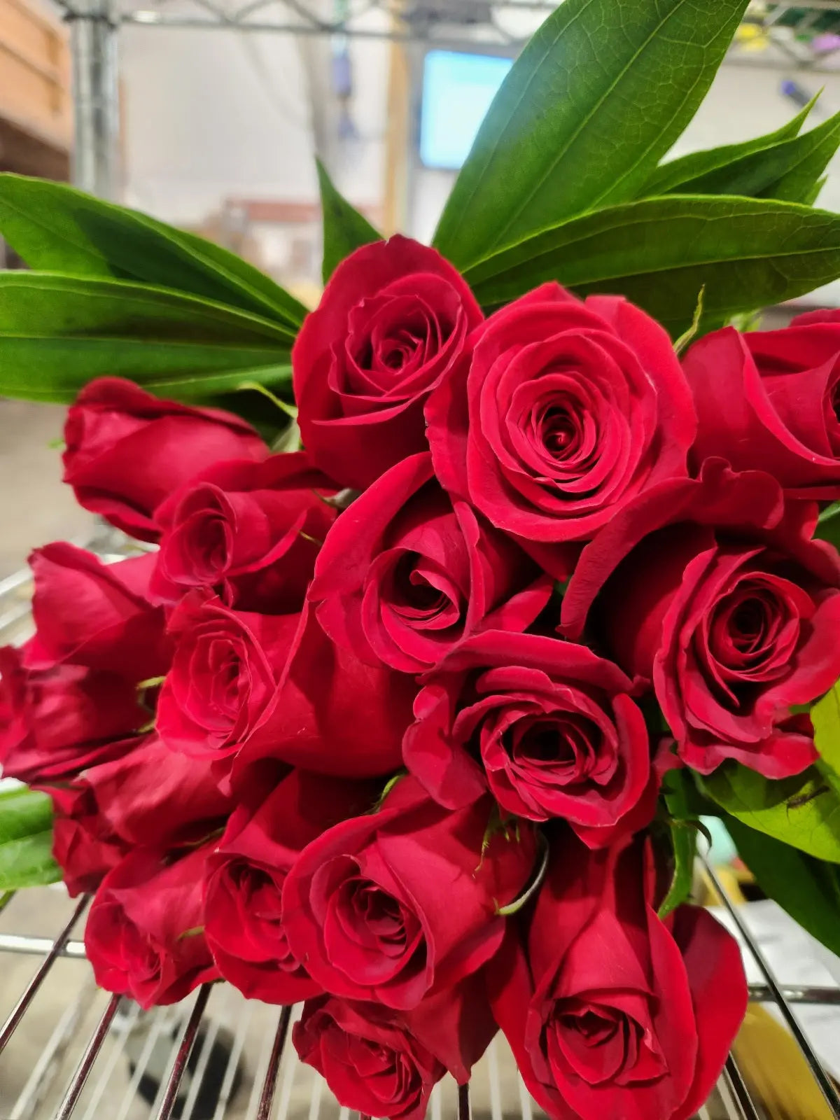 One Dozen Red Roses Florist.ca