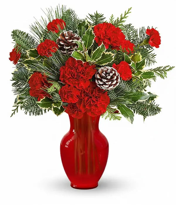 Winter Wonderland bouquet of red carnations in red vase