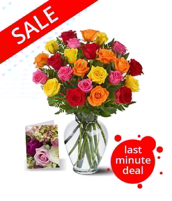 Two Dozen Assorted Roses
