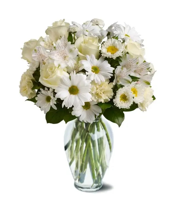 Designer Sympathy Collection I Florist.ca