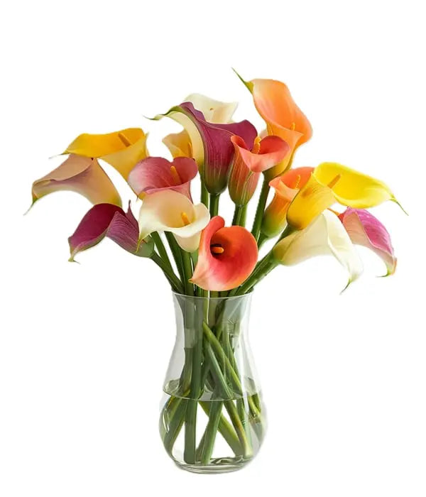 Assorted Calla Lilies Florist.ca