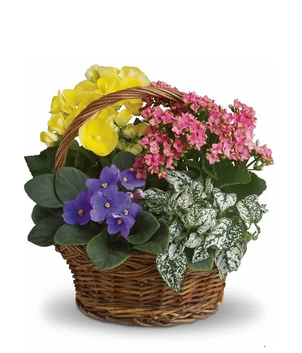 Blooming Planter Basket Florist.ca