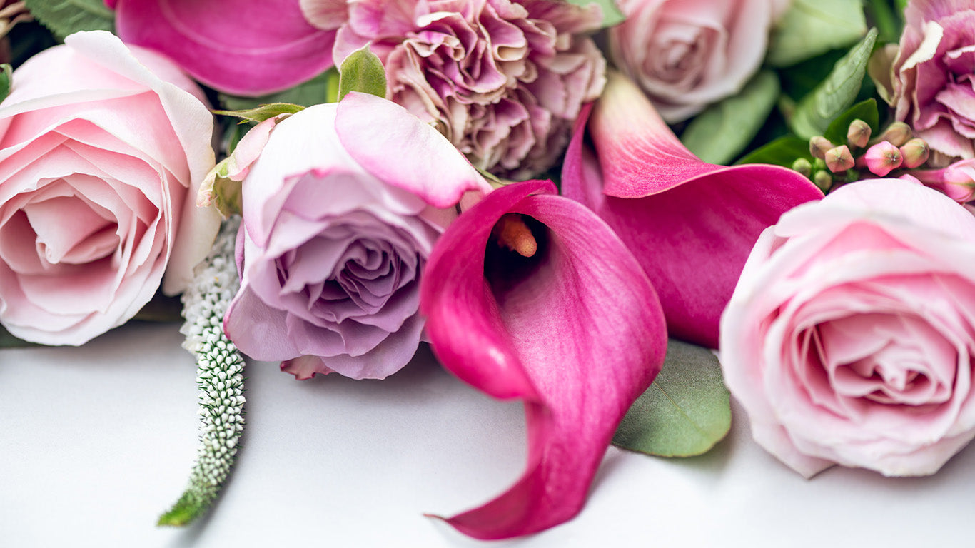 Lilies vs. Roses: Which Flower Is Better for Each Occasion?