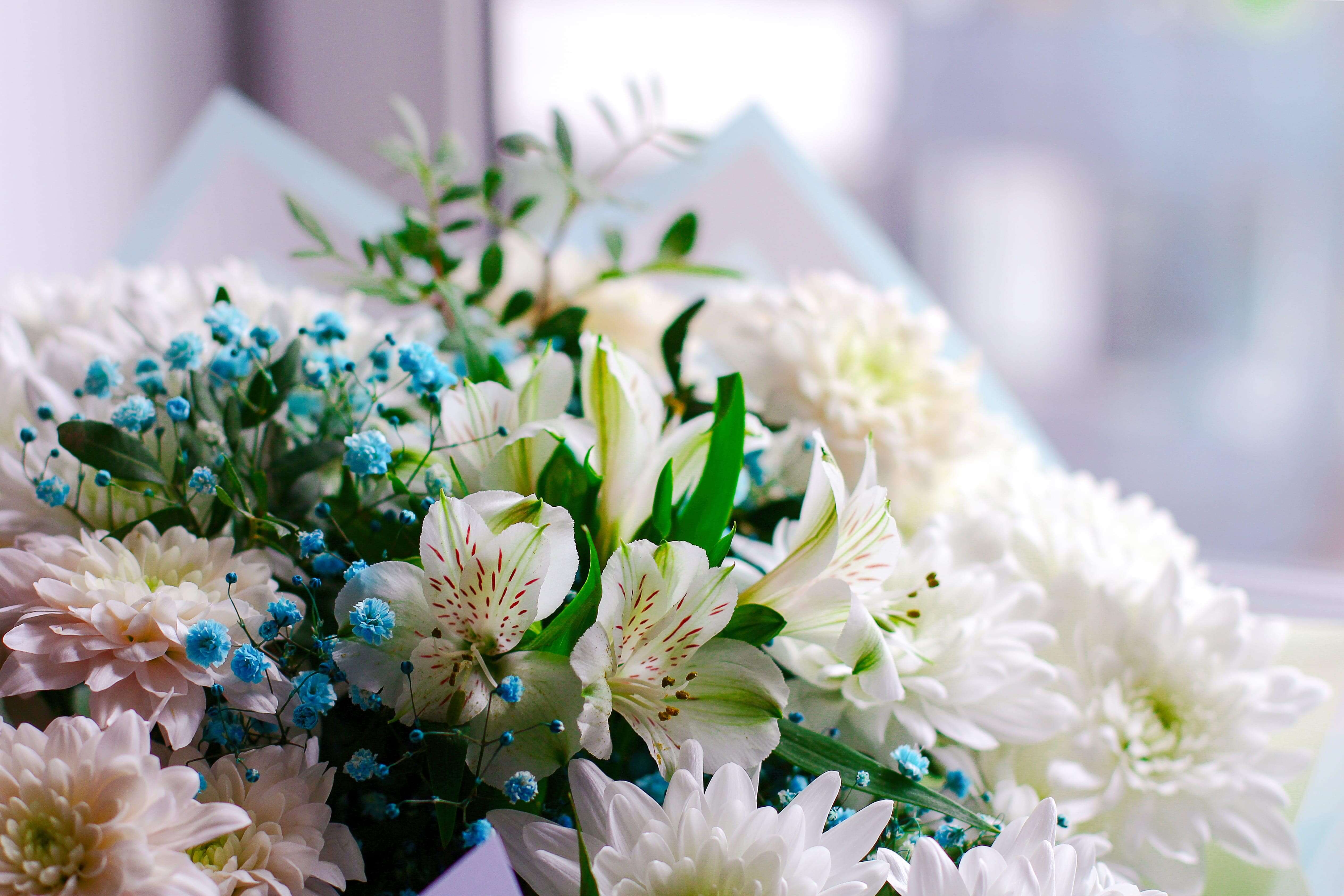 Best Sympathy Flowers to Send in Canada