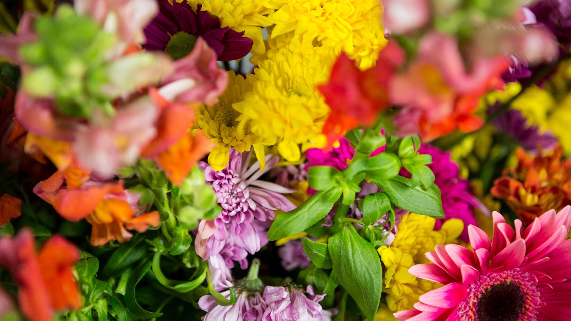 Birthday-Flowers Florist