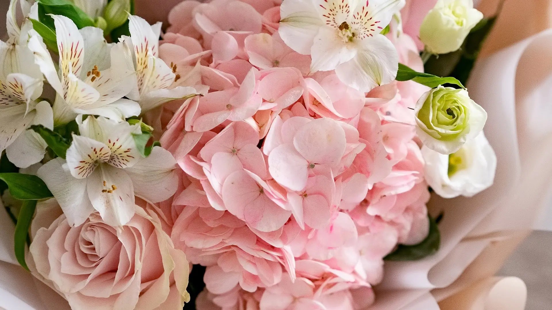 Thank-You-Flowers Florist