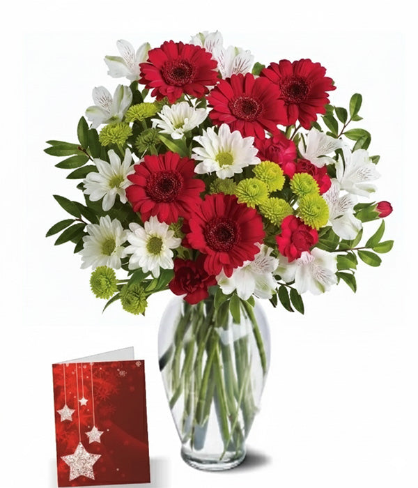Christmas Bells I bouquet with red gerbera daisies