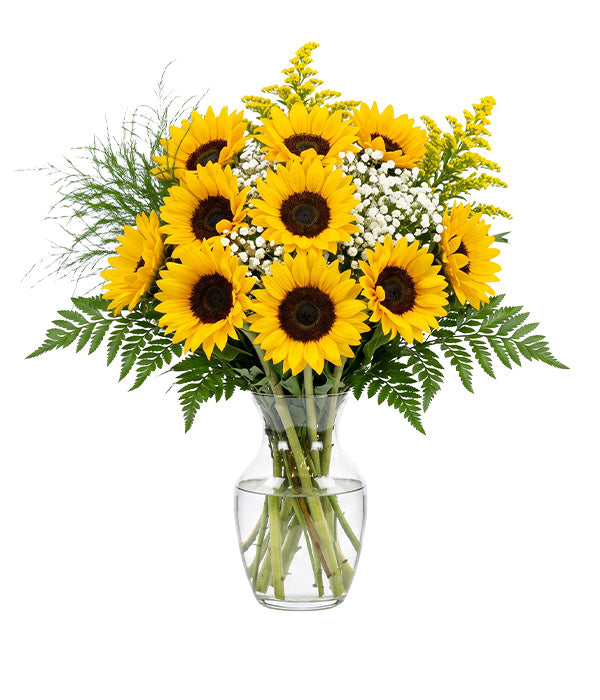 Sunshine Sunflowers Florist.ca