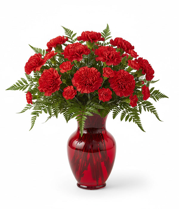 Crimson Delight carnations in red vase (LF21-68)