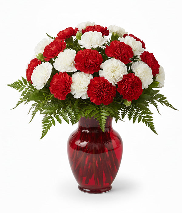 Two dozen candy cane carnations in red vase