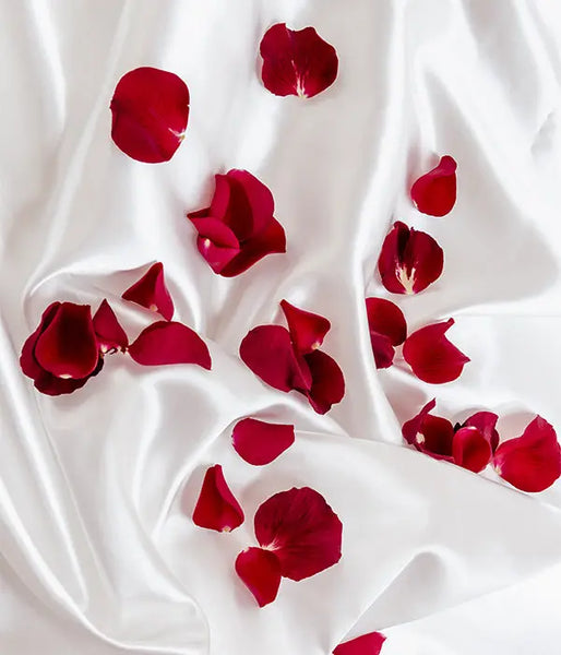 Pétales de roses rouges