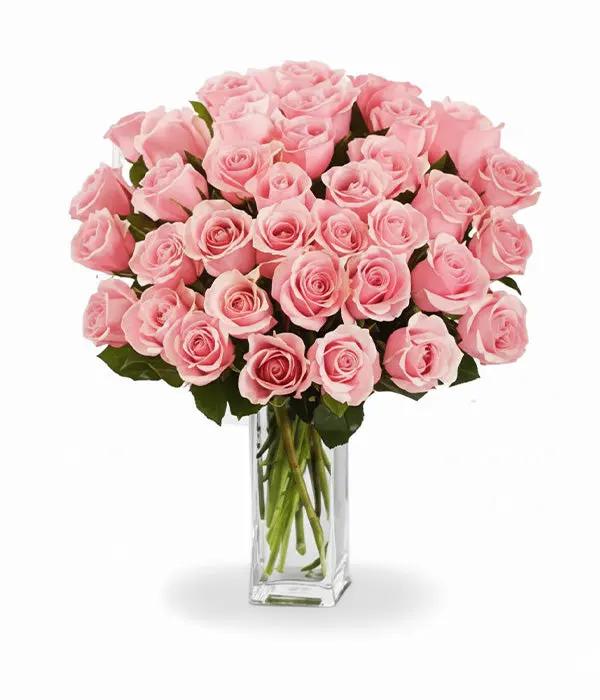 Three Dozen Long Stem Pink Roses - Perfect Gift