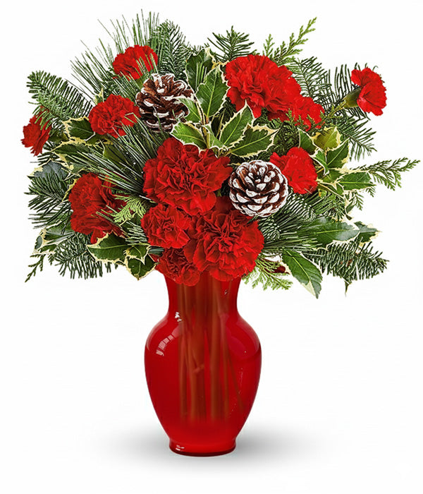 Winter Wonderland bouquet of red carnations in red vase
