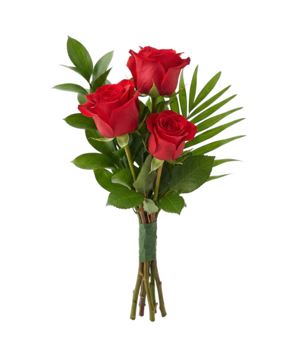 Touch Of Red Roses