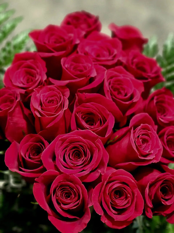 Pink Roses | Pink Rose Bouquets | Florist.ca
