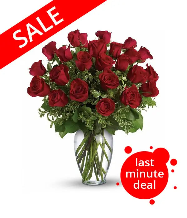 Buy a Two Dozen Long Stemmed Red Roses Bouquet Online – florist.ca