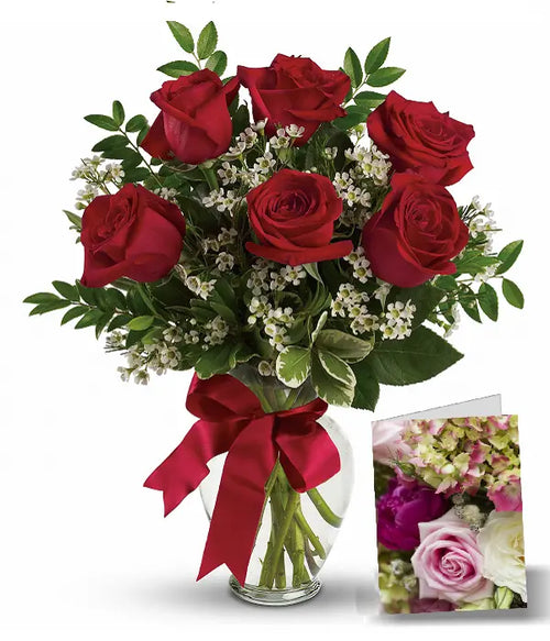 Dozen Roses | 12 Roses | Florist.ca