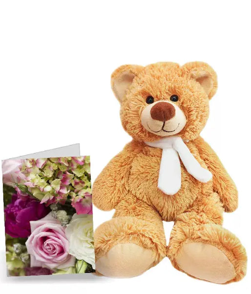 Carte spéciale Teddy