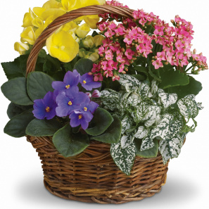 Blooming Planter Basket