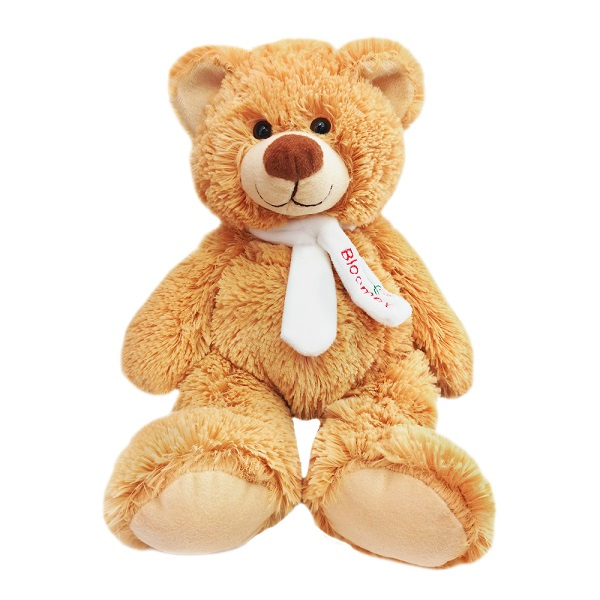Medium Teddy Bear 
